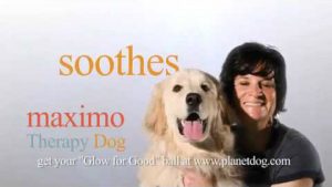 Planet Dog Foundation